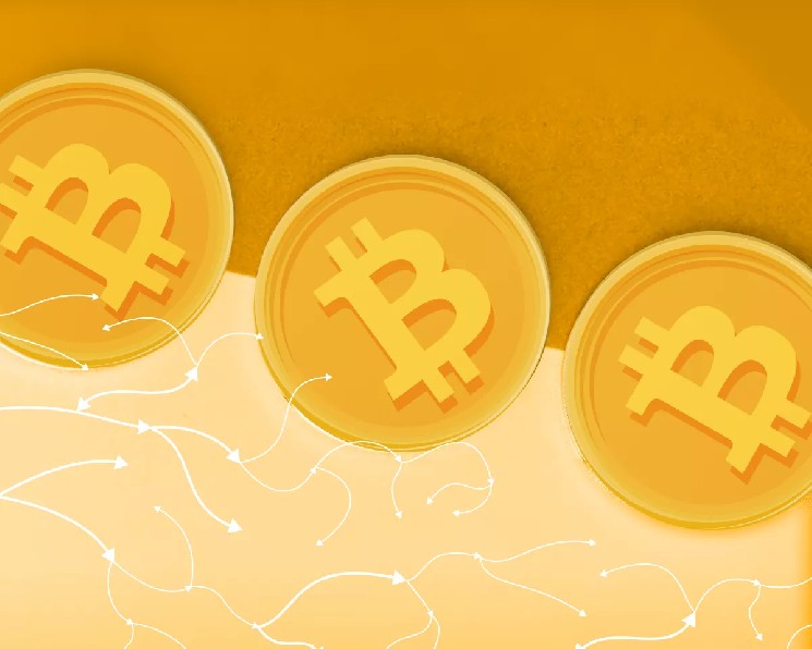 Британец вернул 61 BTC спустя 12 лет &mdash; Крипто Новости