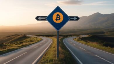 Цена биткоина (BTC) находится на очень важном уровне: три эксперта-аналитика указывают на единственный уровень, который необходимо защитить для восходящего тренда! — Крипто Новости