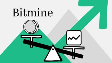 Главный холдер эфира Bitmine назвал факторы роста крипторынка — Крипто Новости