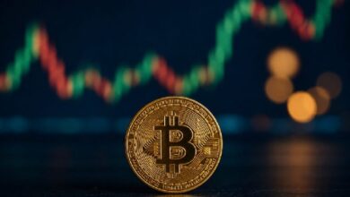 Китайский основатель предупреждает о биткоине: «Возможны значительные колебания цены» — Крипто Новости