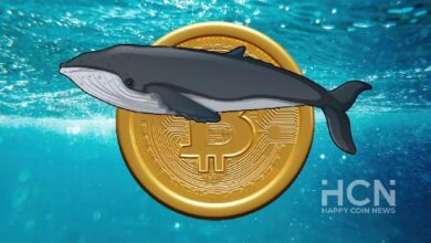 Криптокиты накапливают биткоины в период консолидации цены BTC — Крипто Новости