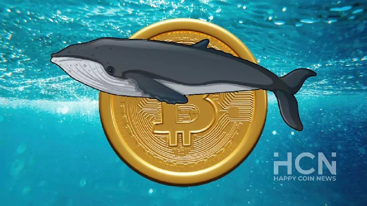 Криптокиты накапливают биткоины в период консолидации цены BTC &mdash; Крипто Новости