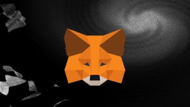 MetaMask и ConsenSys станут независимыми компаниями — Крипто Новости