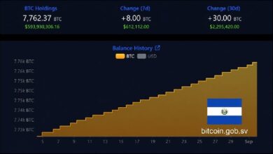 Несмотря на оговорки МВФ, запасы биткойнов в Сальвадоре выросли до 7 762 BTC — Крипто Новости