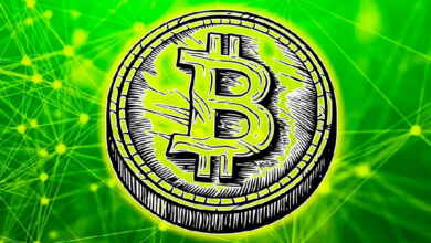 Rainforest Foundation планирует создать биткоин-резерв — Крипто Новости