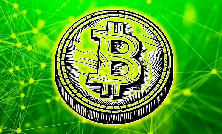 Rainforest Foundation планирует создать биткоин-резерв &mdash; Крипто Новости