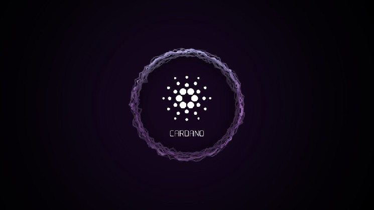 Разработчики Cardano (ADA) сделали важное новое объявление! &mdash; Крипто Новости
