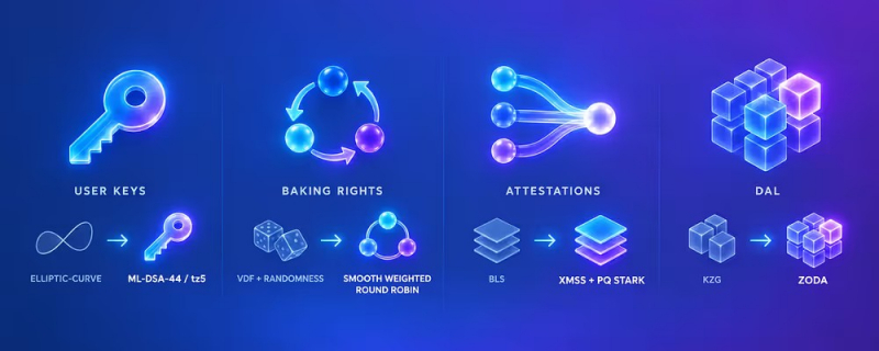 Разработчики Tezos запустили постквантовую тестовую сеть Quantumnet &mdash; Крипто Новости