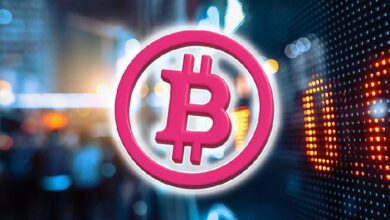 Рост оттока монет BTC с бирж совпал с сигналами формирования ценового дна — Крипто Новости