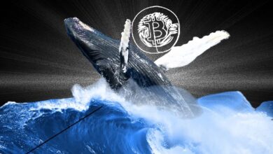 «Спящий» семь лет кит перевел 750 BTC на Binance — Крипто Новости
