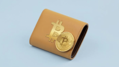 Биткоин эпохи Сатоши сталкивается с большей квантовой угрозой после нового прорыва Google в Willow — Крипто Новости