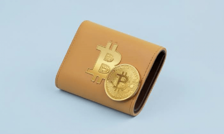 Биткоин эпохи Сатоши сталкивается с большей квантовой угрозой после нового прорыва Google в Willow &mdash; Крипто Новости