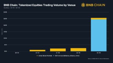 BNB Chain обогнала Solana и Robinhood: объем торгов акциями 25,6 млрд$ — Крипто Новости