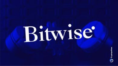 CIO Bitwise: биткоин выигрывает во всех трех сценариях на фоне растущих макроэкономических рисков — Крипто Новости