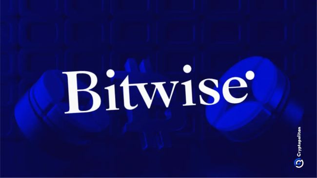 CIO Bitwise: биткоин выигрывает во всех трех сценариях на фоне растущих макроэкономических рисков &mdash; Крипто Новости