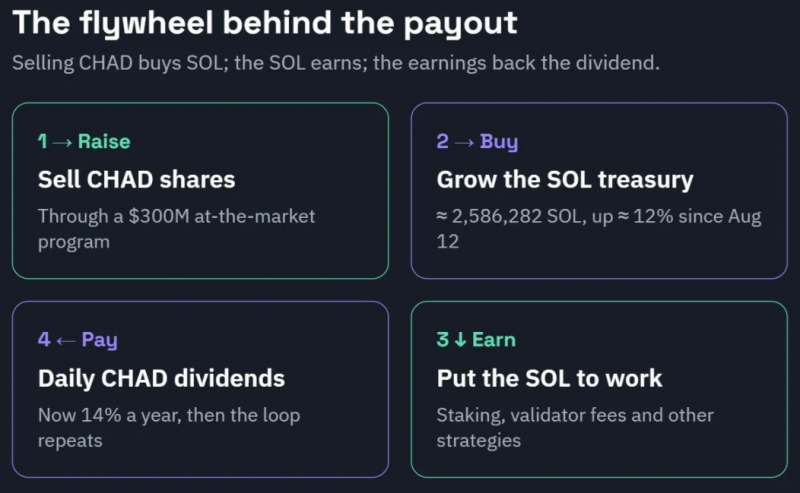 DeFi Development повысила дивиденд CHAD до 14% для увеличения покупок Solana — Крипто Новости