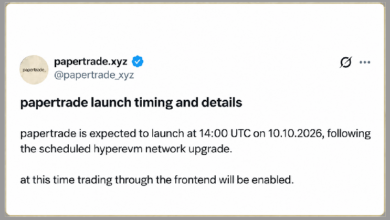DEX Papertrade Perp привлек 8 млн за 24 часа с плечом 1000x — Крипто Новости
