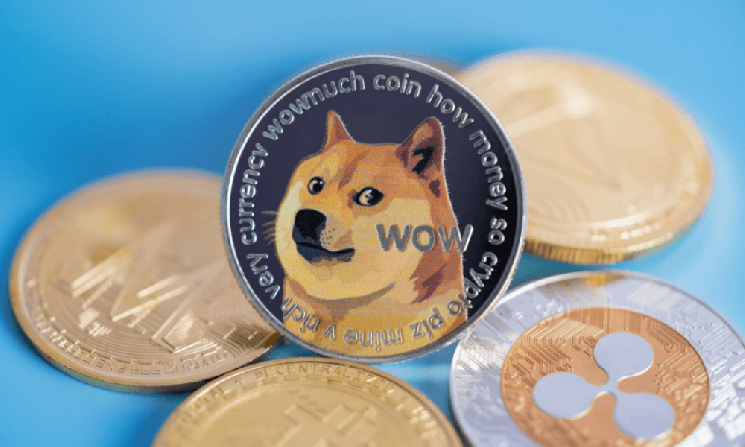 Dogecoin Wallet и команды приложений объединяются, чтобы дать DOGE больше возможностей для повседневного использования &mdash; Крипто Новости