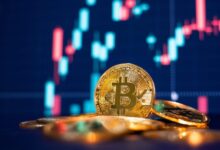 Два аналитика представили сценарии, способные принести биткоину (BTC) миллионные прибыли! Вот ожидаемые цены и возможные даты! — Крипто Новости