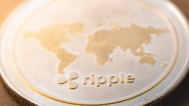 Юрист Ripple бьет тревогу из-за убытков от новых крипторазмещений — Крипто Новости