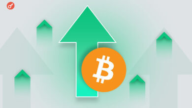 Курс биткоина вырос выше отметки в 3 000 — Крипто Новости