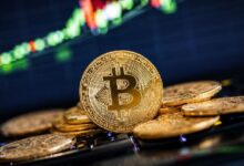 Новая стратегия состоятельных инвесторов в биткоины: они зарабатывают деньги, не продавая BTC! Вот новая тактика — Крипто Новости Новая стратегия состоятельных инвесторов в биткоины: они зарабатывают деньги, не продавая BTC! Вот новая тактика — Крипто Новости