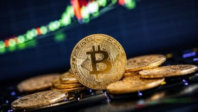 Новая стратегия состоятельных инвесторов в биткоины: они зарабатывают деньги, не продавая BTC! Вот новая тактика — Крипто Новости