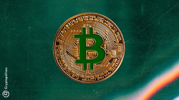 Ордера китов поддерживают уровень цены Bitcoin чуть ниже $80 000 &mdash; Крипто Новости