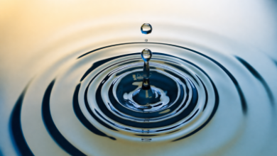 Ripple поддержала инициативу SEC по новым правилам для криптовалют — Крипто Новости