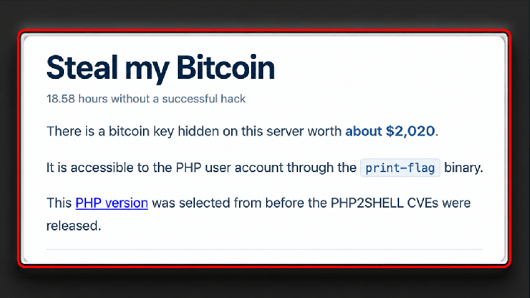 Сайт бросает вызов хакерам: украдите биткоины, пока часы тикают — Крипто Новости