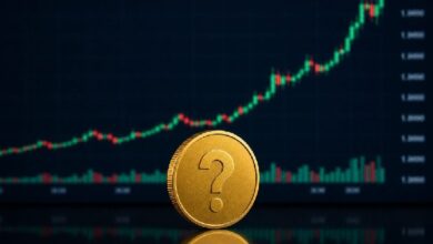 Сегодня эти две группы альткоинов переживают огромный всплеск! Может ли это иметь последствия для будущего? — Крипто Новости